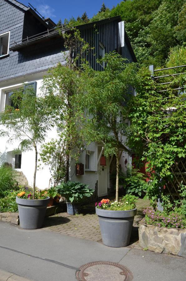Birgits Landhaus Willingen 빌링겐 외부 사진