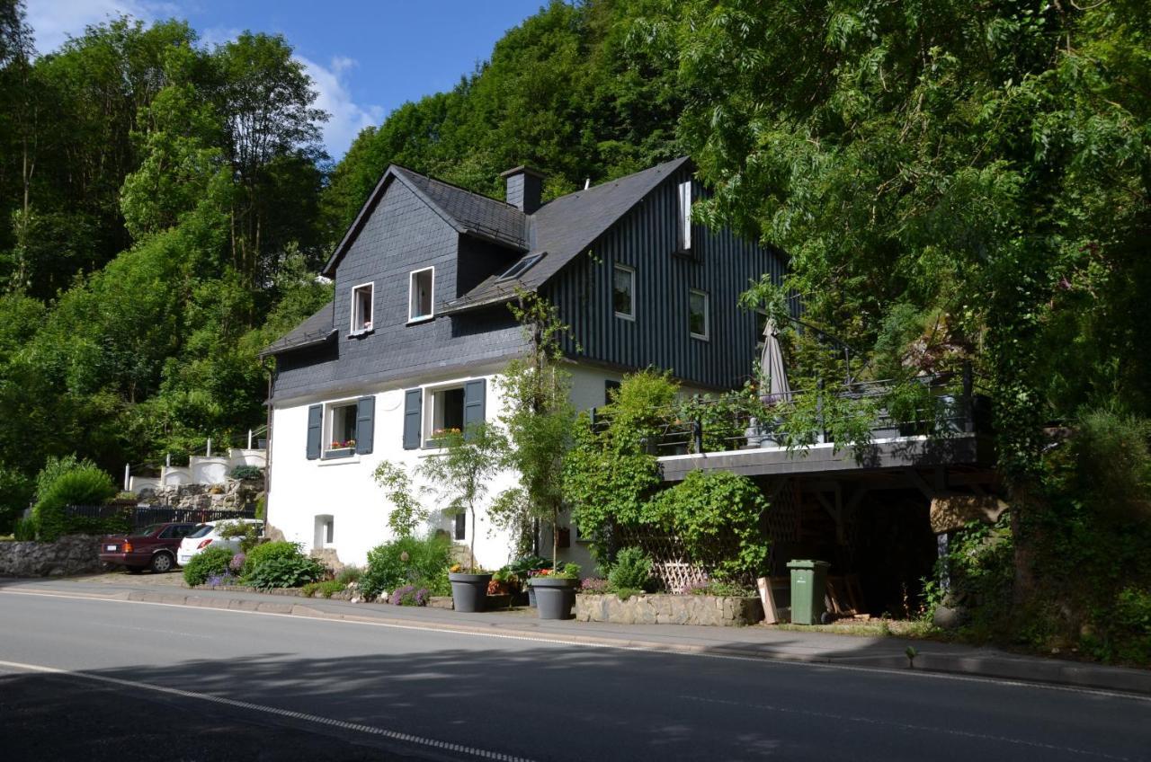 Birgits Landhaus Willingen 빌링겐 외부 사진