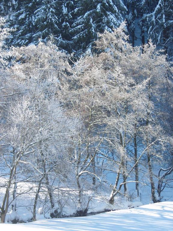 Birgits Landhaus Willingen 빌링겐 외부 사진