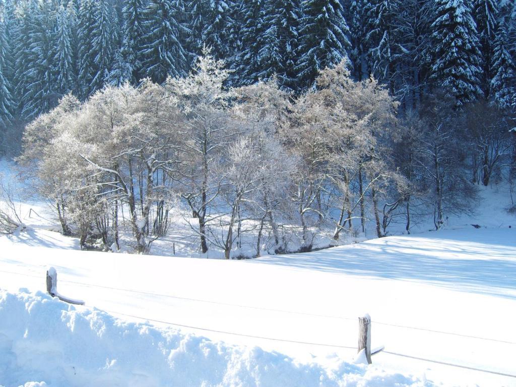 Birgits Landhaus Willingen 빌링겐 외부 사진
